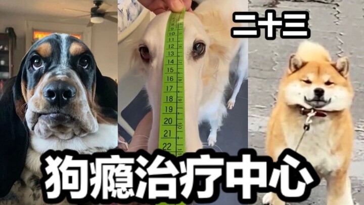 Pusat Perawatan Kecanduan Anjing (Episode ke-23)