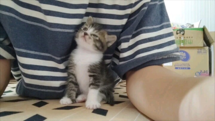 On Labor Day, I’m here to show you how to sleep with your feet while sitting down.