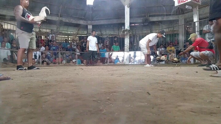Puti vs talisayin walang sugat ulit pang 3 panalo na.