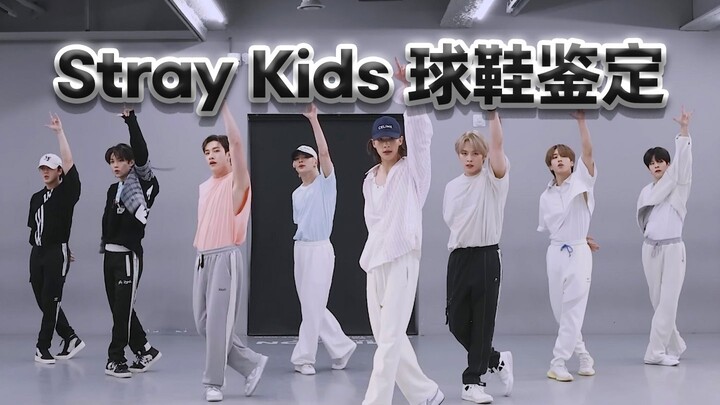 【ما هي الأحذية التي يرتديها ستراي كيدز؟】 هل هذه هي الأحذية الرياضية الساحرة؟