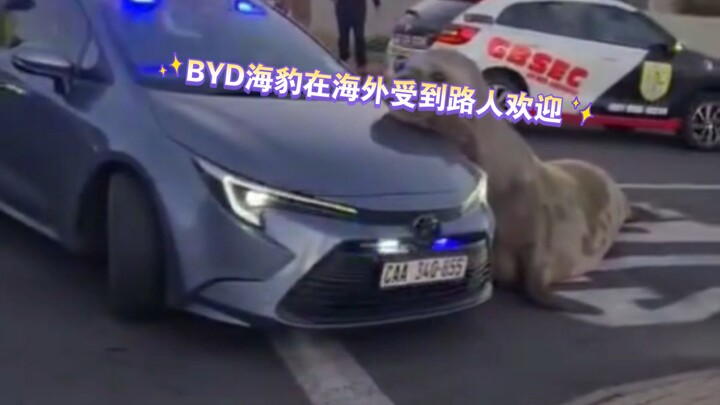 The BYD Seal draws crowds of onlookers overseas!