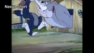 Tom & Jerry (Ep 16.2) Puttin' On The Dog (phần 2) #TomandJerry