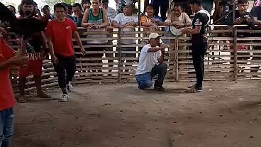 Hma SBR line banahaw