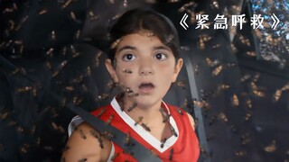 8000万只蜜蜂席卷城市，被蜇伤的生命危在旦夕！《紧急呼救》