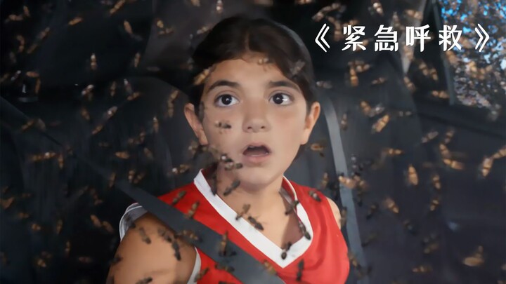 80 million bees swarm into the city, and lives are hanging by a thread after being stung! "Emergency