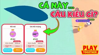 Play Together | Ngày Thứ 2 Đi Săn Cá Hiếm Bắt Được "Chi Hải Tượng & Cá Hải Biển"