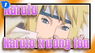 [Naruto/Bản phối hiệu đính] Naruto trường tồn_1