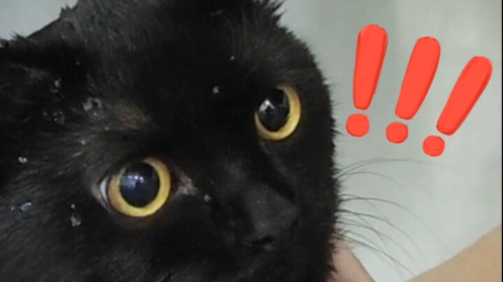 อะไรนะ? อาบน้ำเหรอ? ขี้แค้น ขี้แค้น ขี้แค้น!