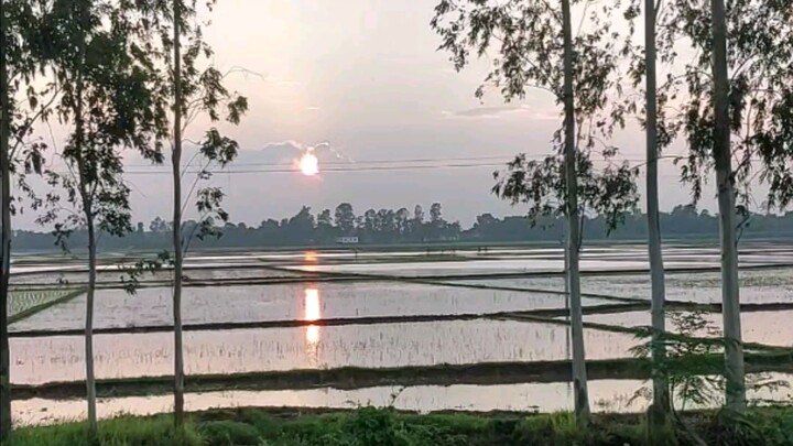 beautiful nature