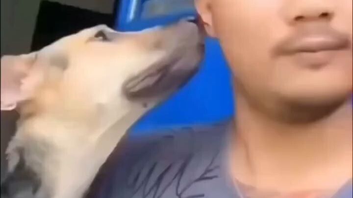 সেরা ফানি ভিডিও