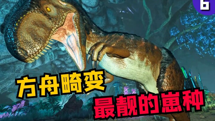 Distorsi: Satu orang satu naga, gila-gilaan di zona biru, inilah si paling keren!