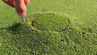 【原声】高尔夫球场的球洞是怎么挖/填的