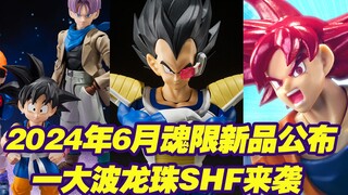 [Hộp đồ chơi Taoguang] Bandai Bảy Viên Ngọc Rồng SHFiguarts sản phẩm giới hạn linh hồn mới được công