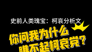 【柯哀】我为什么针对柯哀党，为什么不和他们好好沟通？