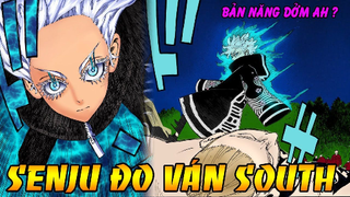Senju Hạ Đo Ván South - Sức Mạnh Thật Sự Của Thủ Lĩnh Băng Phạm