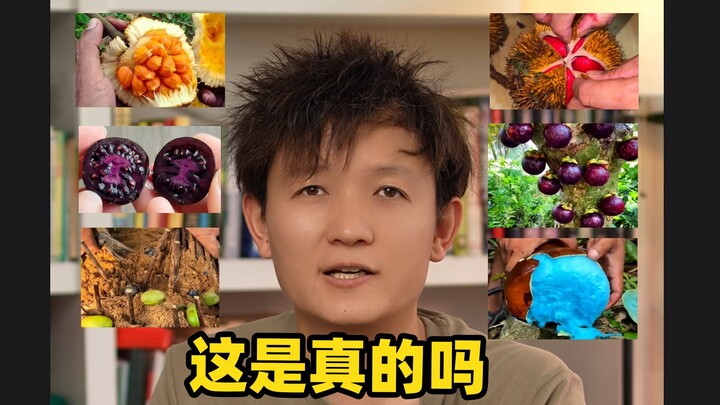 [Thợ săn Trái cây × Hunter] Điều này là thật sao? (Phần 3)