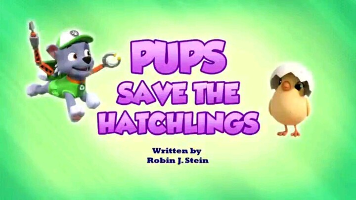 Paw patrol Musim 9 Episode 8 Bahasa indonesia
