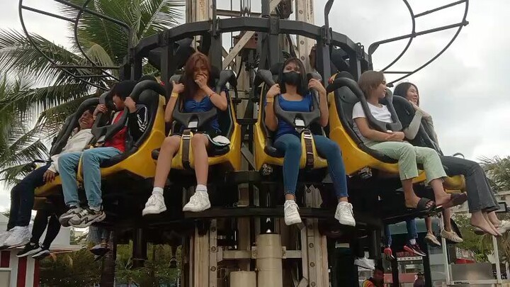moa adventure