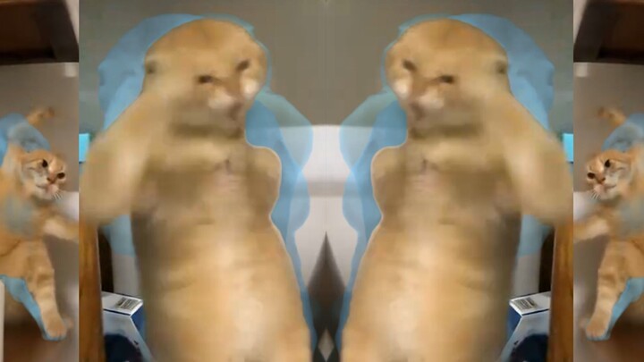 An octogenarian is using Sianweistan.