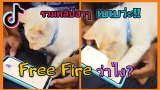 รวมคลิปสัตว์ฮาๆเด็ดๆ(ในแอปTiktok #27)​[เบเบว่ะ Free Fire ว่าไง?]