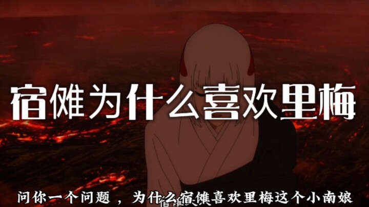 ทำไมสุโถวถึงชอบโคนะนัง?