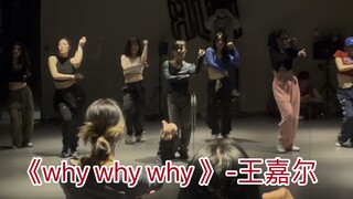 《why why why》-王嘉尔｜慵懒声线撩人心弦|周融编舞