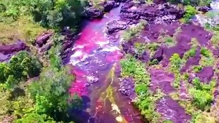 Rainbow River  In Columbia One Of The Prettiest River In The World