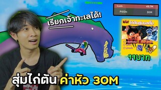 สุ่มไก่ตันไม่มีเกลือ 99บาท ได้ไก่ตันค่าหัว30ล้าน! | Blox Fruits Roblox