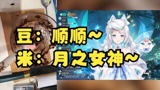 【恬豆&露米】直播跟露米连麦互相串🤣豆：顺顺啊🤭露米：月之女神🤭