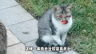 你俩的爱情吵到我了