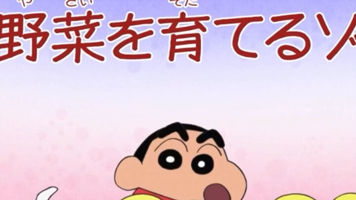 Cùng trồng rau Shin cậu bé bút chì