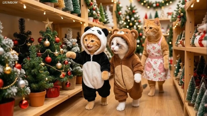 The Journey to Find the Most Beautiful Christmas Tree for the Cat Family.