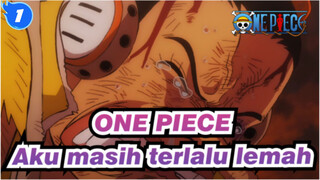 ONE PIECE|Maaf, aku masih terlalu lemah_1