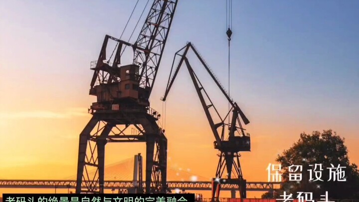 The Guardian of the Old Shipyard