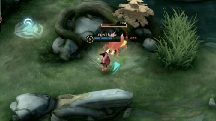 Do you think she will like me?