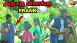 பெண்களை மயக்கும் அற்புத விளக்கு PRANK (Social Experiment)-With English Subtitles | Pongal Vadai