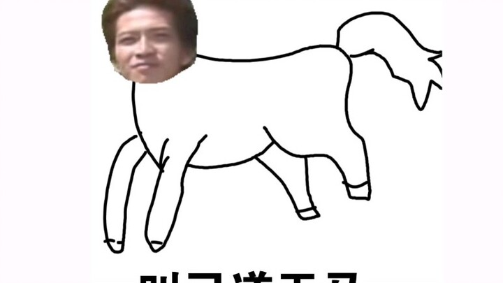 Once upon a time there was a horse called Kyudo Pegasus
