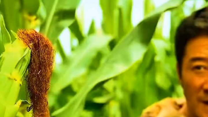 吴京众人皆知的一部巨作，看得我热血沸腾