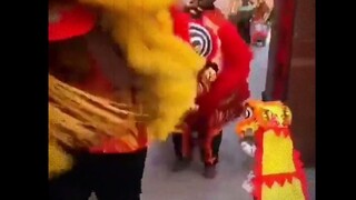The lion dance's head-bumping greeting shows that adults also value kids—so adorable!