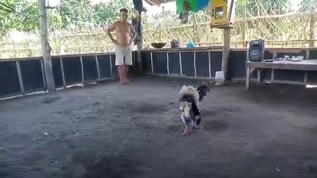 Sunday Spar 👌🏻