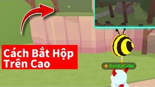 Cách Bắt Hộp Quà Trên Cao Dễ Dàng - Làm Xe Chạy Tốc Độ | PLAY TOGETHER