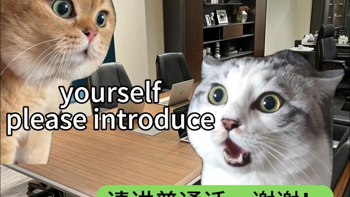 เมื่อเด็กยุคหลังศตวรรษ 2000 เริ่มสัมภาษณ์งาน