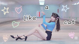 Dance Cover "Like A Cat" Từ Đáng Yêu Đến Quyến Rũ