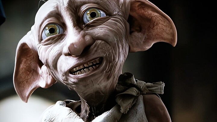 Dobby just wants to maim or seriously injure you.
