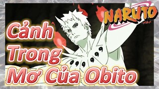 Cảnh Trong Mơ Của Obito