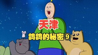 天 津 鸽 鸽 的 秘 密 ：终 章