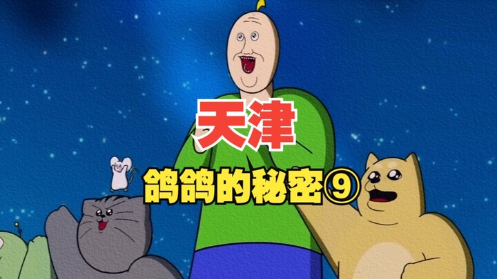 天 津 鸽 鸽 的 秘 密 ：终 章