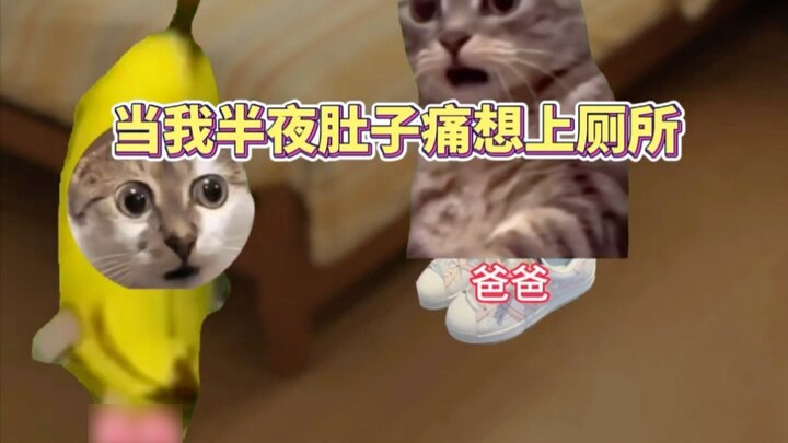 เวลาฉันปวดท้องกลางดึกแล้วต้องเข้าห้องน้ำ