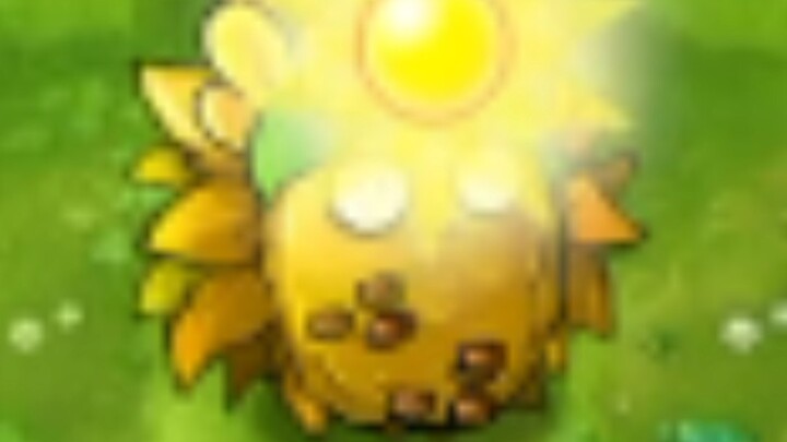 Do you know what “sunny emperor fruit” is, Lao Di?