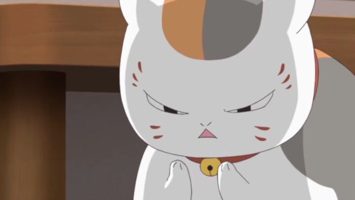 Help, Fatty knows he's cute